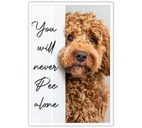 DVBOCS Funny Bathroom Wall Art Goldendoodle You Will Never Pee Alone Canvas Poster Print Funny Bathroom Signs Pictures Dog Lovers Room Ideas Wall Decor 12x16in Unframed