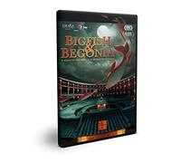 Dvd - Big Fish & Begonia (1 DVD)
