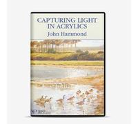 DVD : Capturing Light In Acrylic : John Hammond