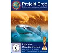 DVD DER STURM
