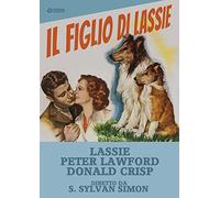 Dvd - Figlio Di Lassie (Il) (1 DVD)