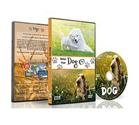 DVD For Dogs To Watch - Relaxing Dog Videos - Relax Your Dogs With Super-cute Dogs In Natural Scenery From Beaches To Snow To Calm Your Dog