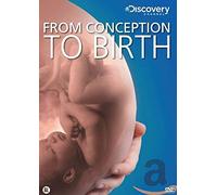 dvd - From conception to birth (1 DVD)