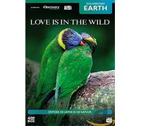 DVD - Love is in the wild (1 DVD)
