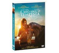 Dvd Mio Amico Tempesta (Il)