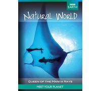 BBC Earth - Natural World - Queen of the Manta Rays [ 2010 ]