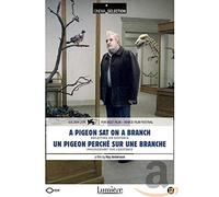 DVD - Pigeon sat on a branch reflecting on existence (1 DVD)