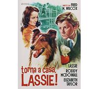 Dvd - Torna A Casa Lassie (1 DVD)