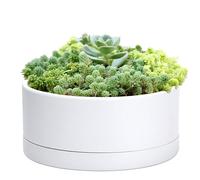D'vine Dev 10 Inch Plastic Shallow Planter, Large Round Succulent Plant Pot with Drainage Hole and Sauce, Decorative Bonsai Pot for Indoor Plants, White, 76-Z-A-2
