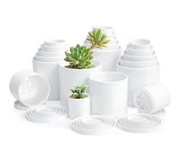 D'vine Dev 20-Pack Plastic Pots with Saucers, 2-4 in, White, 74-U-A | Multi-Size Planting Solution, Lightweight Durable, Matte Finish, Minimalist Style, Ideal for Small Plants and Seedlings