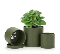 D'vine Dev 4 Inch 5 Inch 6 Inch, Set of 3 Plastic Planter Pots for Plants with Drainage Hole and Seamless Saucers, Olive, Small, 74-V-I-1