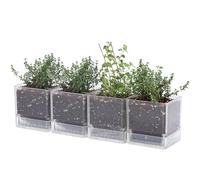 D'vine Dev 4 Inch Herb Planter Pot, Plastic Planter with Drainage Holes and Saucer, Modern Decorative Gardening Pot for Indoor Plants, Flowers, Herbs, Succulents, Clear, Set of 4, 76-Y-D-4