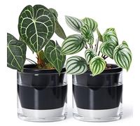 D'vine Dev 6 Inch Design Self Watering Planter for Indoor Plants, Black Terracotta Pot with Cylinder Glass Cup, Set of 2, 37-Y-B-3