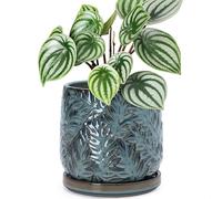 D'vine Dev 6 Inch Embossed Leaves Stoneware Planter Pot with Drainage Hole and Saucer, Ocean Teal, 27-A-X-8