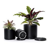 D'vine Dev Black Terracotta Pots for Plants, 4.2 Inch 5.3 Inch 6.5 Inch, Succulent Planter with Drainage and Saucer, 40-T-A-2
