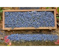 D'vine Dev Organic Lavender Flowers Dried,Highland Grow Ultra Premium Grade,Gluten-Free, Non-Gmo,Perfect For Baking, Lemonade, Salt, Baths. Fresh Scent And Beautiful Color,16 Ounces Bag Purple