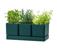 D'vine Dev Plastic Herb Garden Planter Set, Green, 76-V-C-1