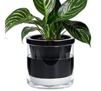 D'vine Dev Self-Watering Black Terracotta Planter Pot, 8 in, 37-X-C-3