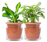 D'vine Dev Self Watering Terracotta Planter Pot, 6 in, 2-Pack, 37-Y-B-1