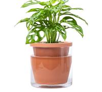 D'vine Dev Self Watering Terracotta Planter Pot, 6 in, 37-X-B-1