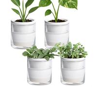 D'vine Dev Self-Watering White Terracotta Planter, 4 in, 4-Pack, 37-Z-A-2-F