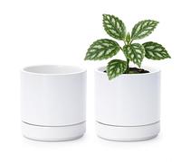 D'vine Dev Set of 2 Plants Pot, 4.6 Inch Ceramic Planter Pot for Plants with Drainage Hole and Saucer, White, 94-V-B-1