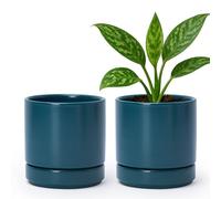 D'vine Dev Set of 2 Plants Pots, 4.7 Inch Ceramic Planter Pot for Plants with Drainage Hole and Saucer, Teal, 94-V-B-9