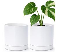 D'vine Dev Set of 2 Plants Pots, 6 Inch Ceramic Planter Pot for Plants with Drainage Hole and Saucer, White, 94-V-C-1