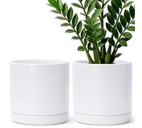 D'vine Dev Set of 2 Plants Pots, 8.2 Inch Ceramic Planter Pot for Plants with Drainage Hole and Saucer, White, 94-V-D-1