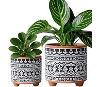 D'vine Dev Set of 2 Terracotta Planter Pots, 4 Inch & 6 Inch, Design Plants Pot with Drainage Hole, Midnight Lace, Terracotta/Black, 31-953-F-2