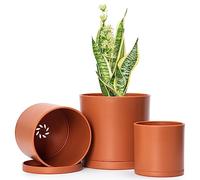 D'vine Dev Set of 3 Minimalist Small 4" 5" 6" Cylinder Plastic Planter Pots with Drainage Hole and Seamless Saucers, Terracotta Color