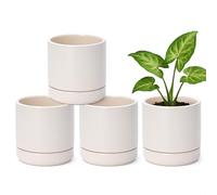 D'vine Dev Set of 4 Small Ceramic Plant Pots, 4.6 Inch Succulent Planter Pot for Plants with Drainage Hole and Saucer, Oatmeal, 94-X-B-8