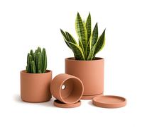 D'vine Dev Terracotta Pots for Plants, 4.2 Inch 5.3 Inch 6.5 Inch, Succulent Planter Pot with Drainage and Saucer, 40-A-T-1
