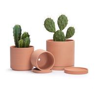 D'vine Dev Terracotta Pots for Plants, 5.3 Inch 6.5 Inch 8.3 Inch, Round Cylinder Planter Pot with Drainage and Saucer, 40-T-B-0