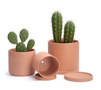 D'vine Dev Terracotta Pots for Plants, 6.5 Inch 8.3 Inch 10 Inch, Round Cylinder Planter Pot with Drainage and Saucer, 40-T-C-0