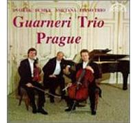 Dvorak - Dumky Trio [IMPORT]
