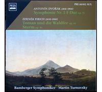 Dvorak/Fibich: Symphony No.5 By Bamberg So ,Turnovsky (2003-08-18)