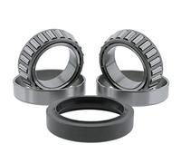 DVPARTS Axle Bearing and Seal Kit 6660126 3974866 6511331 6511330 6512114 for Bobcat 630 631 632 641 642 520 530 533 540 542 Skid Steer Race Front