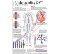 Dvt Medical Knowledge Metal Tin Signs Wall Decor Understanding Dvt Deep Vein Thrombosis Posters Doctor's Office Science Plaques Home Clinic Hospital 12x16 Inches
