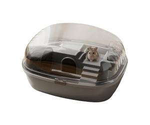 Dwarf Hamster Cage - Small Zoo, Cage Transparent, Spacious Habitat, Includes Running Wheel | Durable , Clean Design Ensures Pet Safety, Hygiene, Fun Game For Hamste