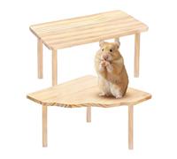 Dwarf Hamster Playground Hedgehog Resting