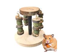 Dwarf Hamster Toys,Multifunctional Mice Teething Treats - Wooden Hamster Chews - for Teeth Grinding Mice Gerbil Chinchilla Dwarf Pet Indoor Home