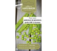 Dwarf peas "Merveille de Kelvedon Grain Ridé à Écosser" - 1 Pkg