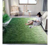 DweIke Luxury 4' x 6' Modern Indoor Livingroom Bedroom Home Area Rugs, Dark Green Rug High Pile Fluffy Carpet for Girls Kids Bedroom, Upgrade Non-Slip Rectangular Colorful Gradient Fuzzy Rug