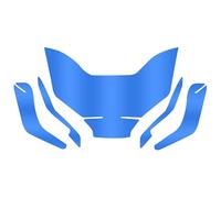 DWGVHGVW Motorbike Instrument Film Motorcycle Instrument Dashboard Cluster Scratch Protection Film Screen For CYCLONE RX401 2022