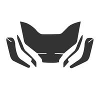 DWGVHGVW Motorbike Instrument Film Motorcycle Instrument Dashboard Cluster Scratch Protection Film Screen For CYCLONE RX401 2022