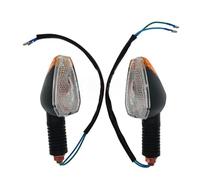 DWGVHGVW Motorcycle turn signal MOTORCYCLE INDICATOR FLASHING LIGHTS TURN SIGNAL LIGHT 12V FOR AKT TT125 TT150 XM180 XM150 FOR BX19050122 2PC