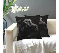 Dwrepo Black Labrador Throw Pillow Covers 12"x12" Decorative Throw Pillow Case Modern Cushion Cover Square Pillowcase for Sofa Couch Bedroom Living Room Car