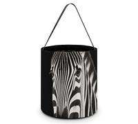 Dwrepo Halloween Trick Or Treat Bags Zebra Halloween Candy Buckets with Handles Portable Collapsible Halloween Candy Bags Reusable Halloween Tote Bag for Party Supplies Favors, White, One Size, White,