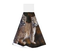 Dwrepo Kitchen Dish Cloths Coral Velvet Dish Towels Canada Lynx Washcloths Super Absorbent Hanging Hand Towel Quick Dry Thicken Cleaning Cloths Wipes Rags for Kitchen Bathroom